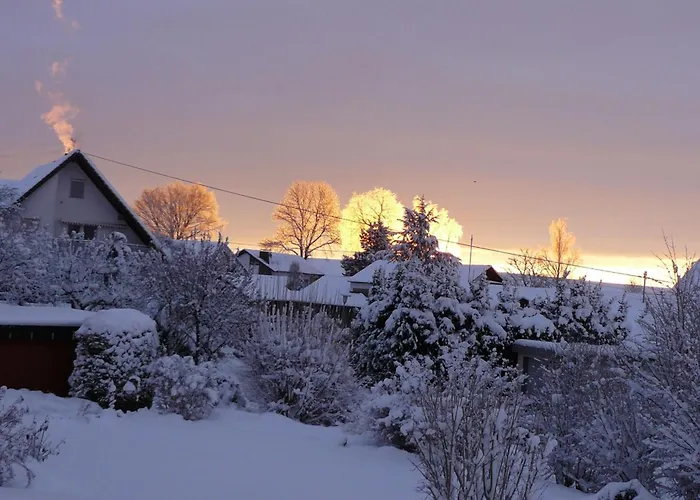 Apartment Vogelsang *