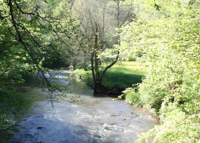 Apartment Vogelsang Niedereschach